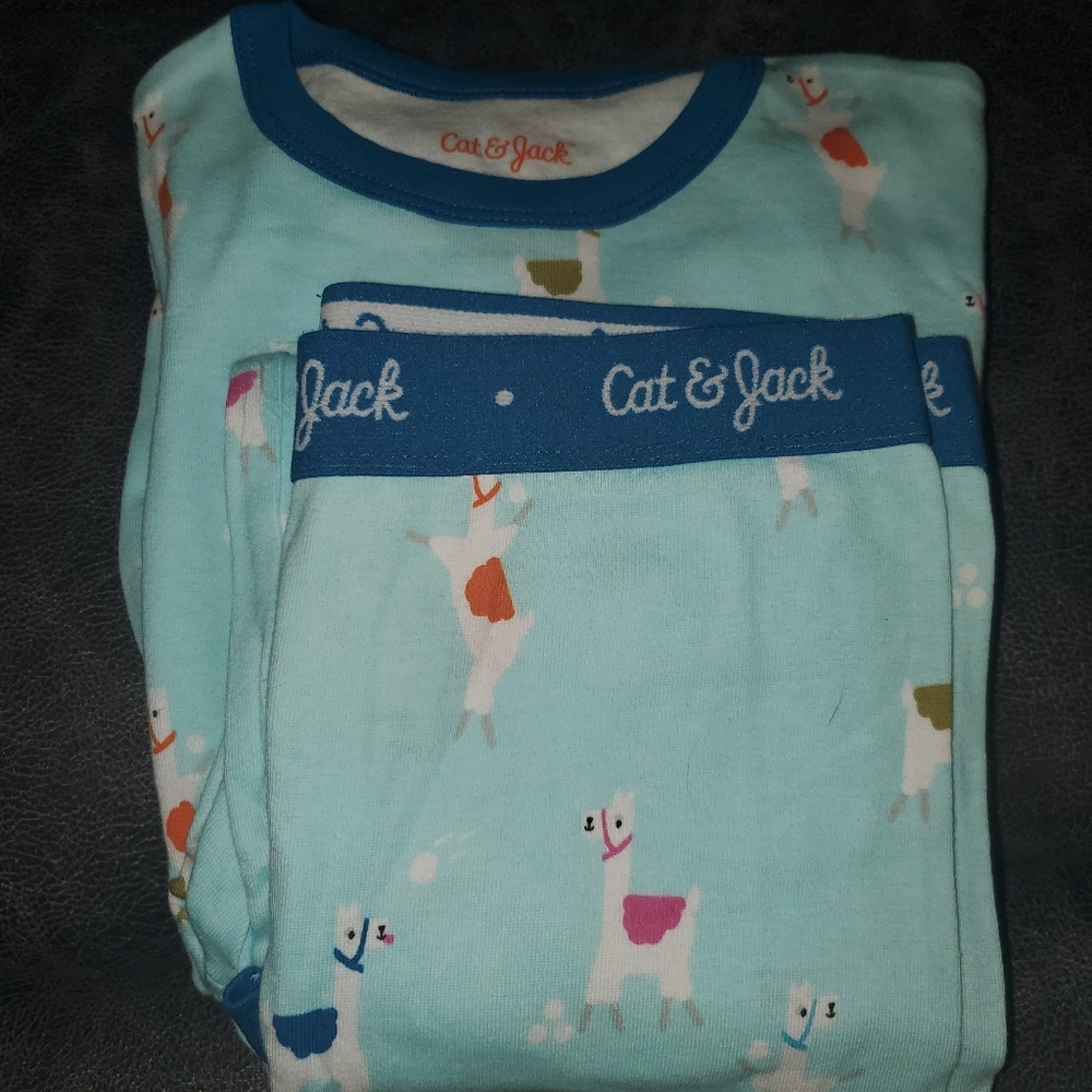 Girls 2 piece pajamas